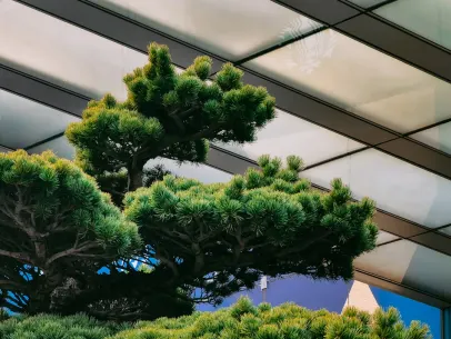 ArcaneBet Kasyno Aplikacja mobilna